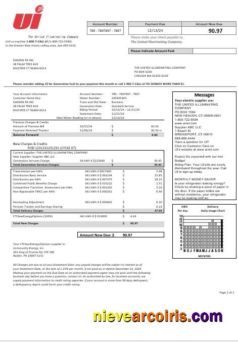 USA Connecticut The United Illuminating Company electricity business utility bill